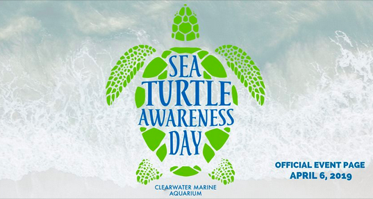 Sea Turtle Awareness Day, April 6, 2019